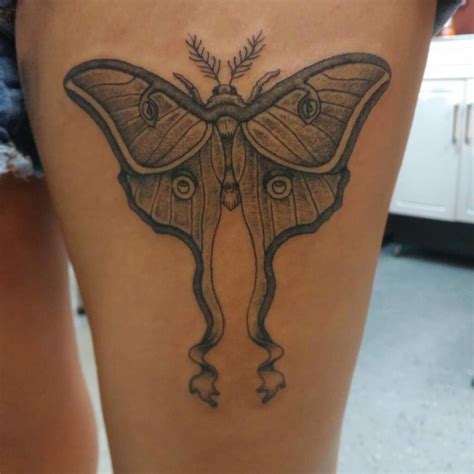 what does a luna moth tattoo mean|Understanding the Luna Moth Tattoo Meaning: What。